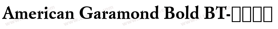 American Garamond Bold BT字体转换